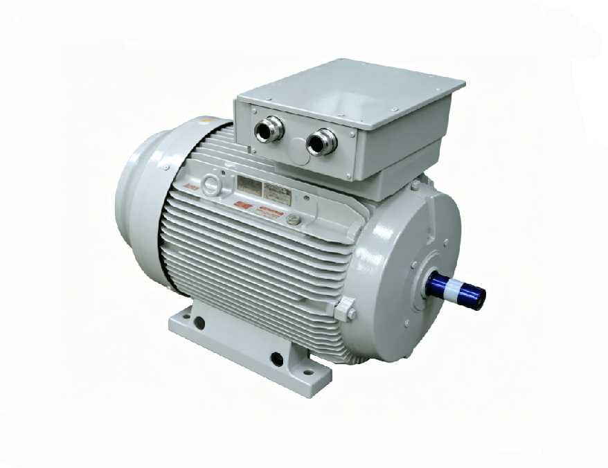 Lifting Motor